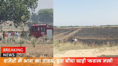 सजेती में आग का तांडव, दस बीघा खड़ी फसल जली 3 Photo of सजेती में आग का तांडव, दस बीघा खड़ी फसल जली