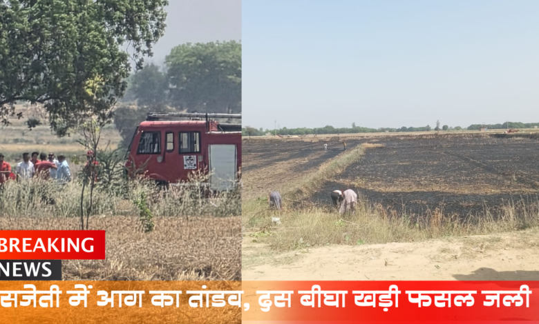 aman yatra website formate