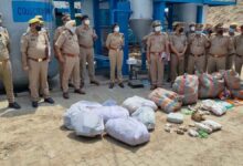 Photo of करोड़ों का नशा हुआ राख: कानपुर देहात पुलिस ने भट्टी में झोंका 1.34 करोड़ का गांजा और स्मैक।