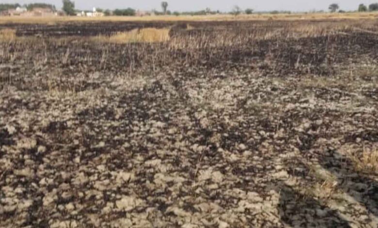 खेत में आगजनी की घटना