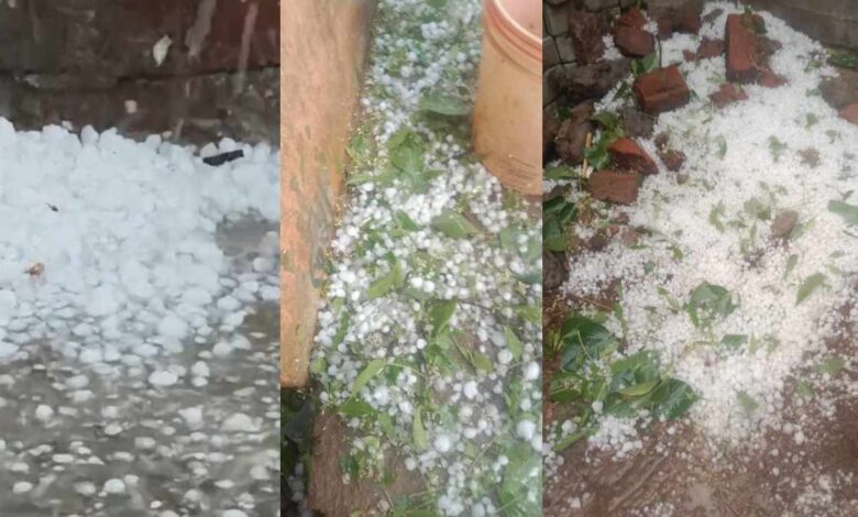 घाटमपुर ओलावृष्टि फसल नुकसान
