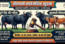 Photo of कानपुर देहात: सरकारी वसूली के लिए पशुओं की कुर्की, जानिए रसूलाबाद तहसील में किस दिन लगेगी बोली।