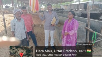 Photo of डेरापुर में गौशालाओं का औचक निरीक्षण, कम भूसा मिलने पर नाराजगी