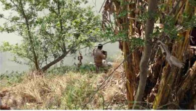 Photo of कानपुर देहात में नदी किनारे निर्वस्त्र व सड़ी गली अवस्था में मिला महिला का शव,नहीं हो सकी पहचान