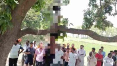 Photo of सिकंदरा में आम के पेड़ से लटका मिला युवक का शव,नहीं हो सकी पहचान