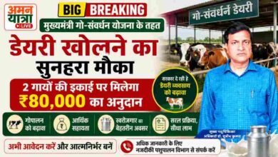 मुख्यमंत्री गो-संवर्धन योजना के तहत डेयरी खोलने का सुनहरा मौका, 2 गायों की इकाई पर मिलेगा ₹80,000 का अनुदान 1 Photo of मुख्यमंत्री गो-संवर्धन योजना के तहत डेयरी खोलने का सुनहरा मौका, 2 गायों की इकाई पर मिलेगा ₹80,000 का अनुदान
