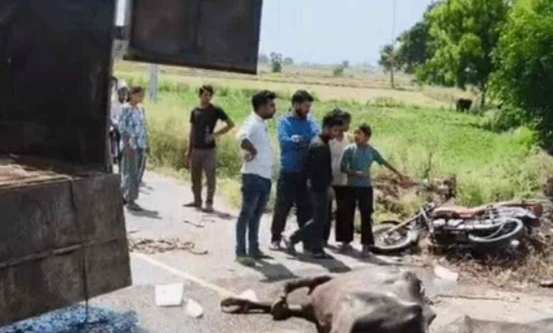 कानपुर इटावा नेशनल हाइवे पर कांधी गांव के पास दुर्घटनाग्रस्त होकर पलटी पशुओं से लदी पिकअप वैन।