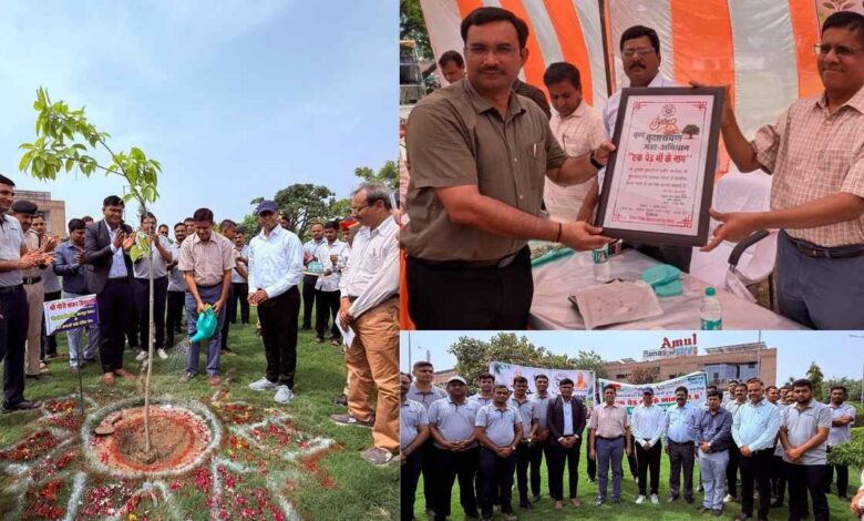 कानपुर देहात के अमूल डेयरी परिसर में पौधरोपण करते नोडल अधिकारी जी.एस. प्रियदर्शी।