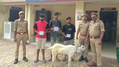 Photo of कानपुर देहात में पुलिस की बड़ी कार्रवाई, शिवली में बाइक पर बकरा लादकर भाग रहे तीन शातिर चोर गिरफ्तार