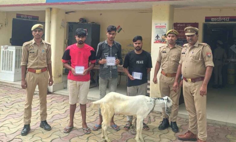 कानपुर देहात की शिवली थाना पुलिस की गिरफ्त में खड़े बकरा चोरी करने वाले तीन आरोपी।