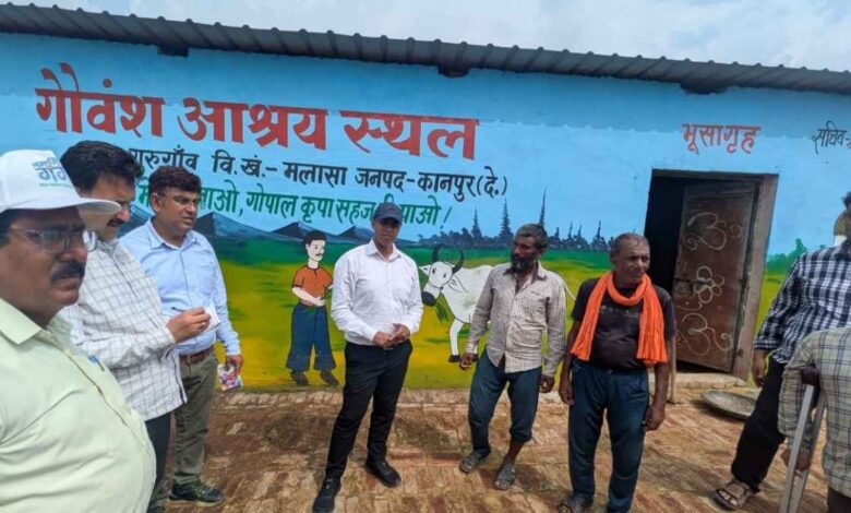 कानपुर देहात: गुरुगांव गोशाला में सीसीटीवी नदारद देख भड़के सीडीओ: बीडीओ-सचिव को फटकार, 2 दिन में कैमरे लगाने का अल्टीमेटम 1 CDO Kanpur Dehat Inspected Gurugaon Goshala Malasa