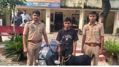 Photo of कानपुर देहात शिवली पुलिस का बड़ा खुलासा: बाइक और बकरी चोर गैंग पकड़ा, एक गिरफ्तार व दो बाल अपचारी हिरासत में