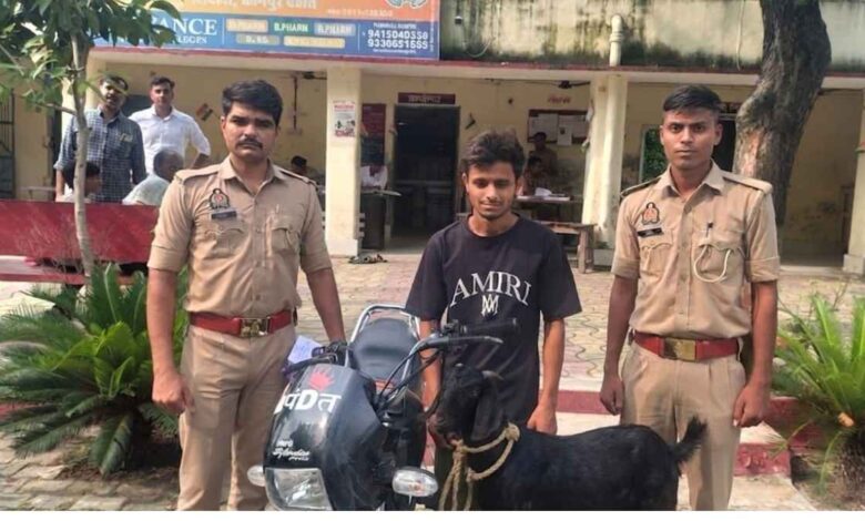 शिवली पुलिस चोरी खुलासा कानपुर देहात
