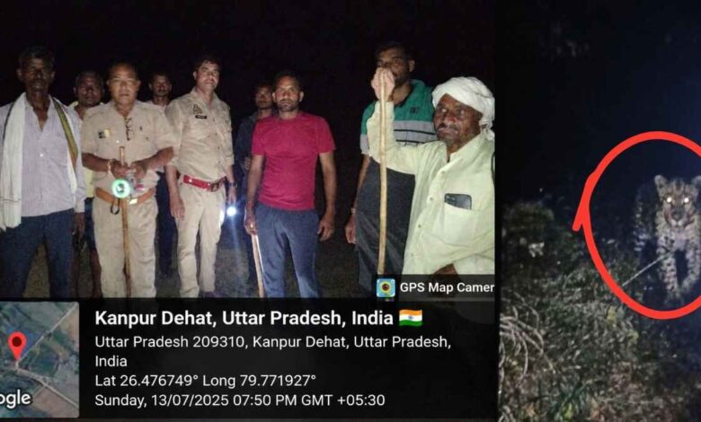 kanpur dehat leopard scare
