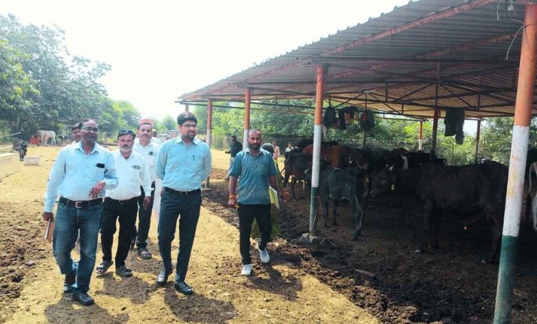 Kanpur Dehat Gaushala Inspection by SDM and Veterinary officers in Nandpur.