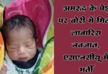 Photo of अमरूद के पेड़ पर बोरी में टंगा मिला नवजात शिशु: मनेपुर के पूर्व प्रधान की नजर पड़ते ही बची जान, एसएनसीयू में कराया गया भर्ती