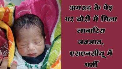Photo of अमरूद के पेड़ पर बोरी में टंगा मिला नवजात शिशु: मनेपुर के पूर्व प्रधान की नजर पड़ते ही बची जान, एसएनसीयू में कराया गया भर्ती