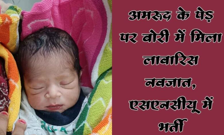 kanpur dehat newborn baby found mangalpur
